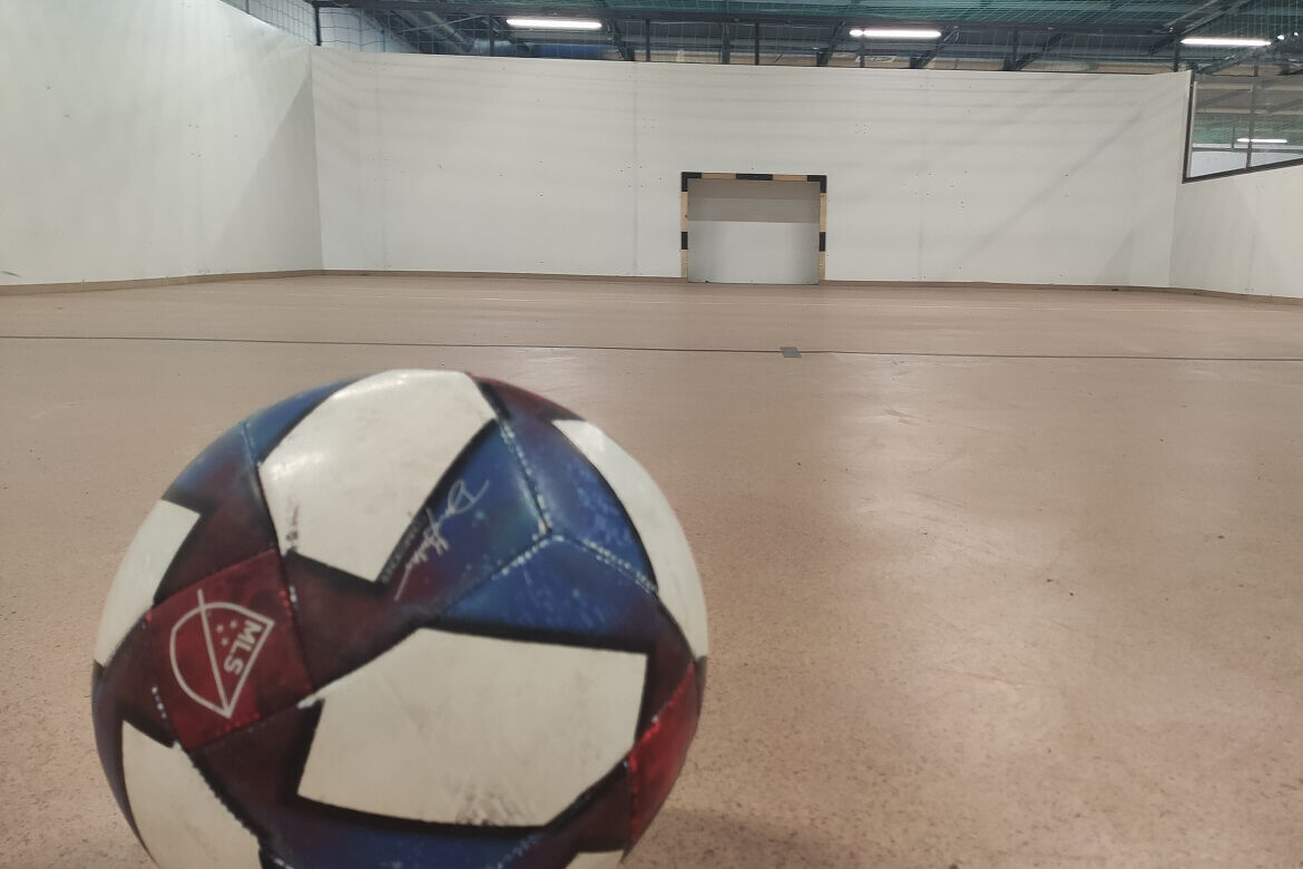 Domus Foci - Cageball / Ketrecfoci