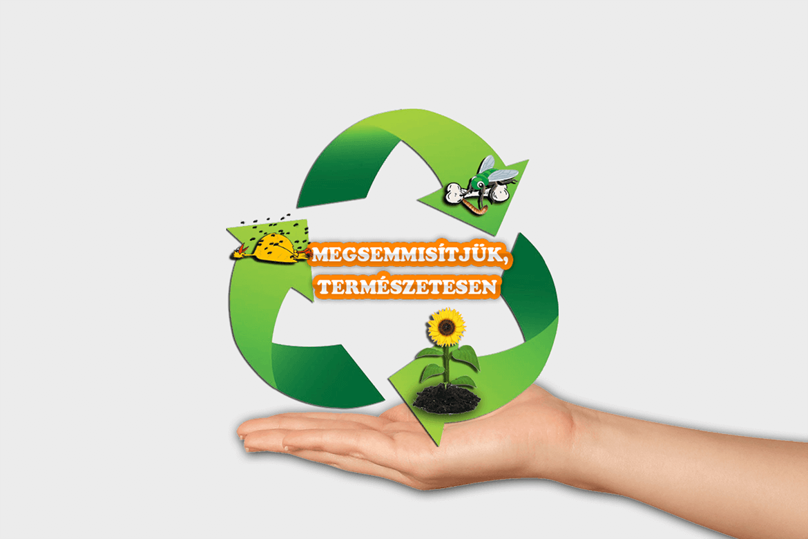 Megsemmisitjuk.hu - Profi WebDesign